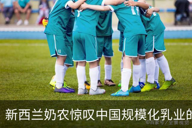 新西兰奶农惊叹中国规模化乳业的领先之路