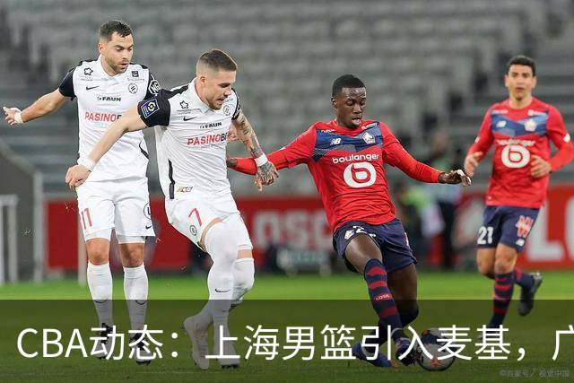 CBA动态：上海男篮引入麦基，广东宏远锁定梅克加强内线